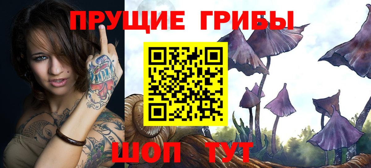 Шахты  Галлюциногенные грибы прущие грибы  Вход с VPN  Галлюциногенные грибы ЛСД 